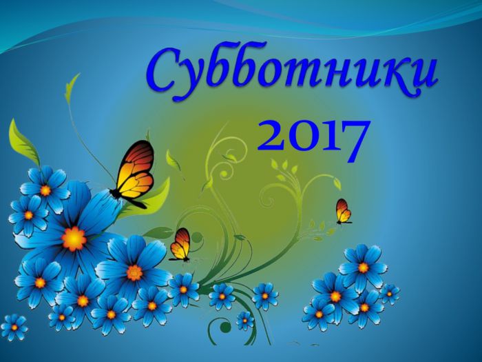 Благоустройство Березняковского сельского поселения 2017